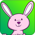 jack rabbit