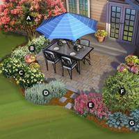 backyard landscape design screenshot 1