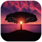 BACKGROUND HD NEW NATURE WALLPAPERS Zeichen