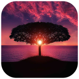 BACKGROUND HD NEW NATURE WALLPAPERS Zeichen