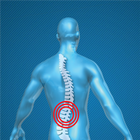 Back Pain Relieving Exercises biểu tượng