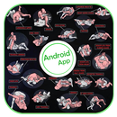 MMAテクニック APK