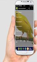 Suara Kicau Burung Kenari MP3 capture d'écran 2
