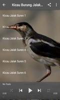 Master Burung Jakal Suren MP3-poster
