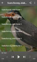 Master Burung Jakal Suren MP3 imagem de tela 1