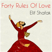 Forty Rules of Love - Shafak