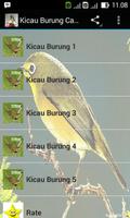 Kicau Burung Campuran Affiche