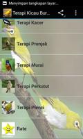 Terapi Kicau Master Burung capture d'écran 1