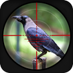 Aventure de chasse aux corbeaux de forêt 3d