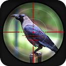 Forest Crow Hunting Simulation 2018 APK