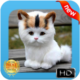Baby Cat Wallpapers آئیکن