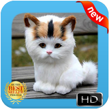 Baby Cat Wallpapers biểu tượng