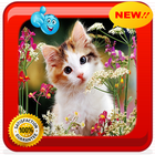 Baby Cat Photo Frames icône