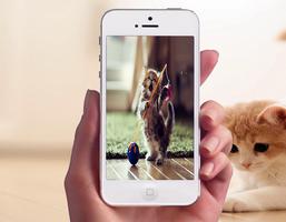 Baby Cat Photo Frames imagem de tela 2