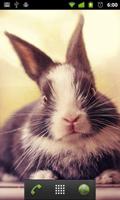 baby bunny wallpaper capture d'écran 1