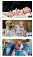 Baby Funny Videos for Whatsapp الملصق