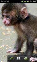 Mono De Bebé LWP captura de pantalla 1