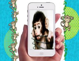 Baby Monkey Wallpapers Ekran Görüntüsü 1