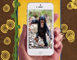 Фоторамки детские обезьяны скриншот 2