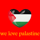 The New Flags Of Palastine-icoon