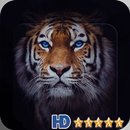 Baby Tiger Wallpaper Full HD 2k18 APK