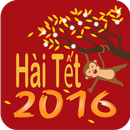 Xem phim hài tết hay nhất APK