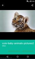 Baby Animals Wallpapers تصوير الشاشة 2
