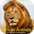 African Animals Video Safari आइकन