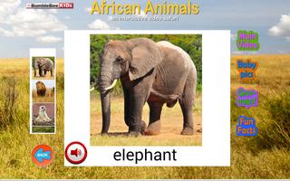 African Animals Video Safari स्क्रीनशॉट 1