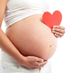 ”Pregnancy (Weekly Progress)