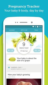pregnancy tracker countdown to baby due date poster
