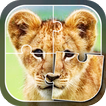 Learn Animals - Kids Puzzle