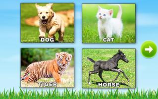 Poster Learn Animals - Kids Puzzle