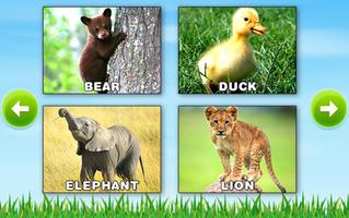 Learn Animals - Kids Puzzle capture d'écran 3