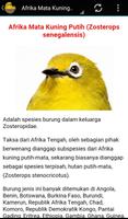 Buku Burung Pleci screenshot 1