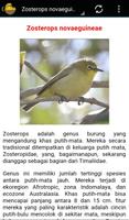 Buku Burung Pleci 截圖 3