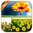 Cute Sunflower Wallpaper APK