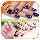 Ý tưởng Thiết kế Shellac Nails biểu tượng