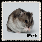 Pet Wallpapers LWP أيقونة