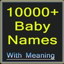 Baby Names Boy-Girl APK