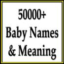Baby n Boys Name and Meaning APK