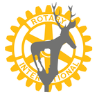 Çankaya Rotary icône