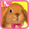 Cute Rabbit Dress Up APK