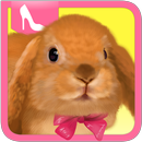 Cute Rabbit Dress Up APK
