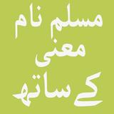 Muslim Baby Names and Meanings in Urdu icône