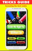 Guide Me Right For Slither.io 海報