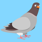 Pigeon Hunt icône