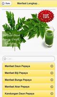 The Complete Benefits of Papaya Leaf capture d'écran 1