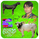 Bakra Eid Flex Banner Maker APK