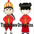 The Secrets of Chinese Success icône